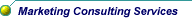 Marketing Consulting Services